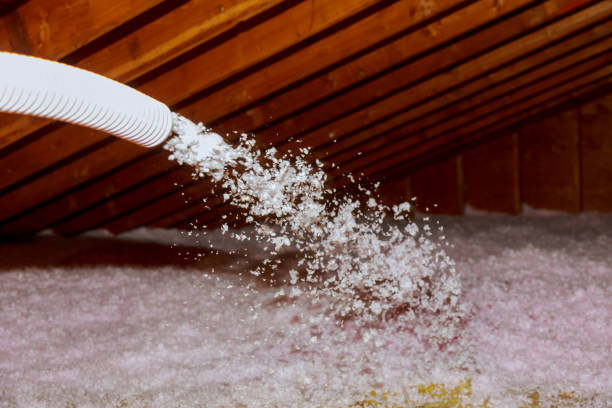 Professional Insulation Contractor in Shell Point, SC