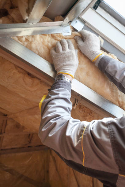 Best Insulation for Specific Applications in Shell Point, SC