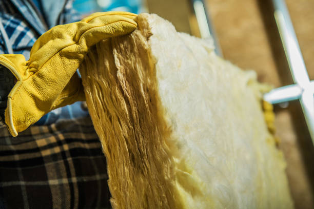 Best Commercial Insulation in Shell Point, SC